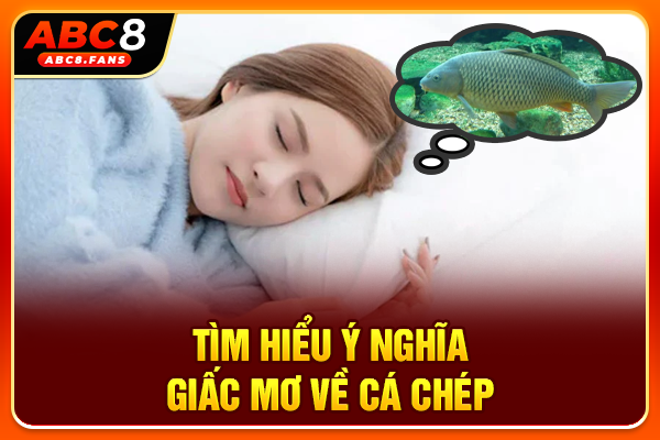 Tìm hiểu ý nghĩa giấc mơ về cá chép