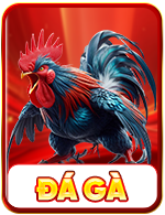Đá gà